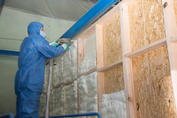 Insulation Inspection Services in Conrad, IA