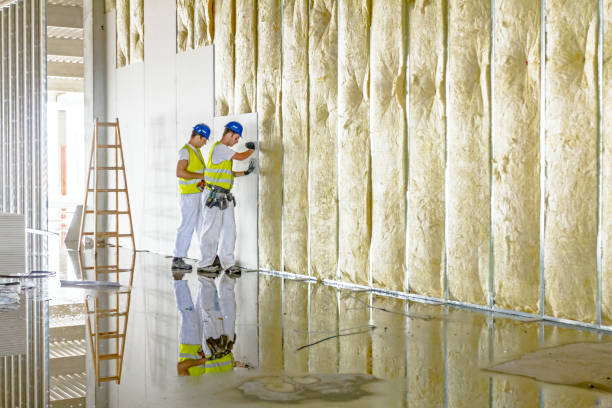 Insulation for New Construction in Conrad, IA